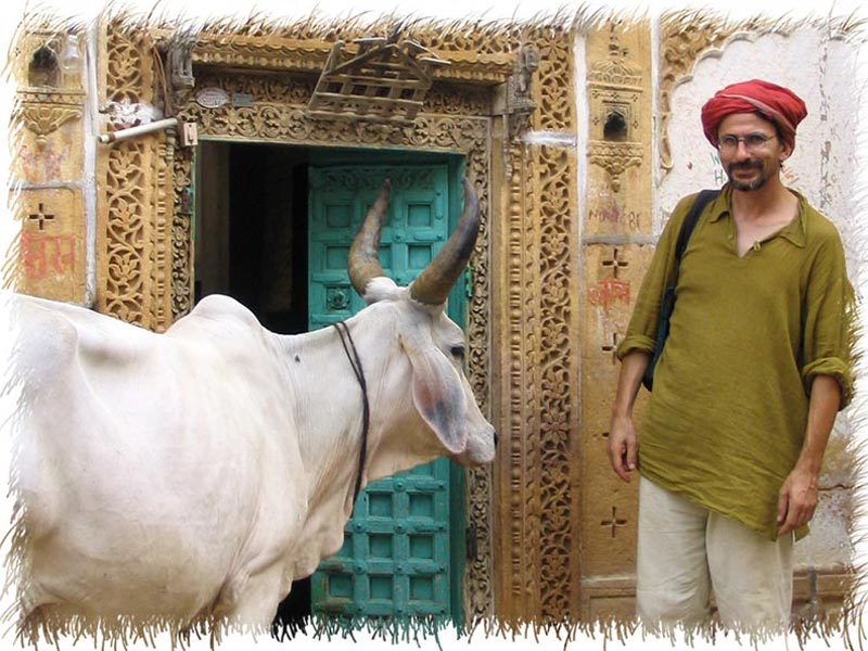 Avec une vache à Jaisalmer Inde